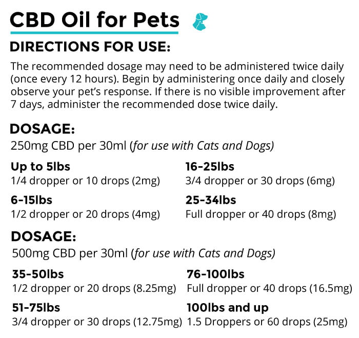 CBD Dosage Instructions for Pets