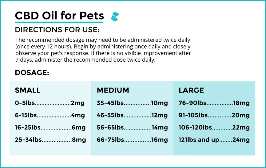 CBD oil for dogs dosage infographic