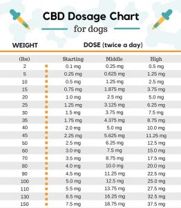 CBD Oil Dosage for Dogs - Complete Guide & FAQ's