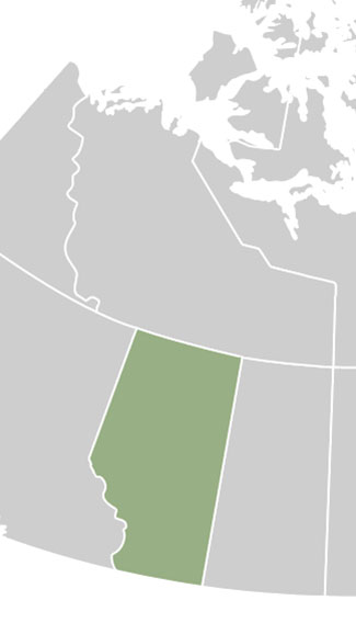 Cannabis Laws: Is CBD Legal in Canada - Alberta