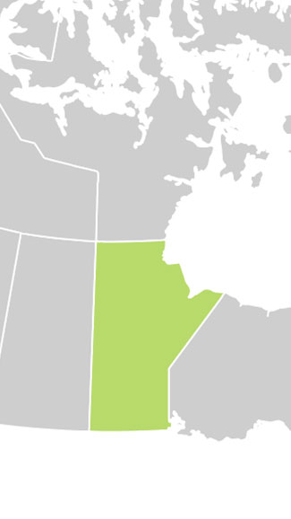 Cannabis Laws: Is CBD Legal in Canada - Manitoba