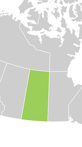 Cannabis Laws: Is CBD Legal in Canada - Saskatchewan
