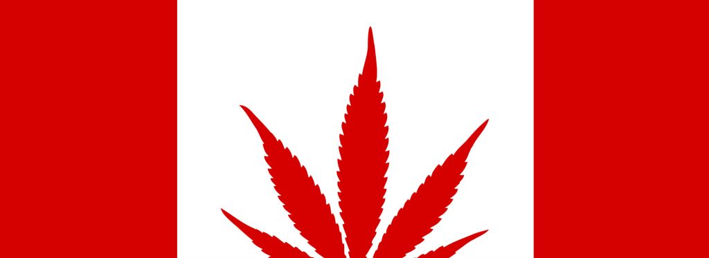 Cannabis Laws: Is CBD Legal in Canada Header
