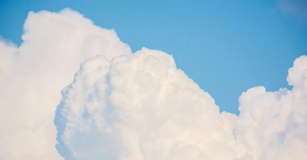 The endocannabinoid system CBD Oil Canada